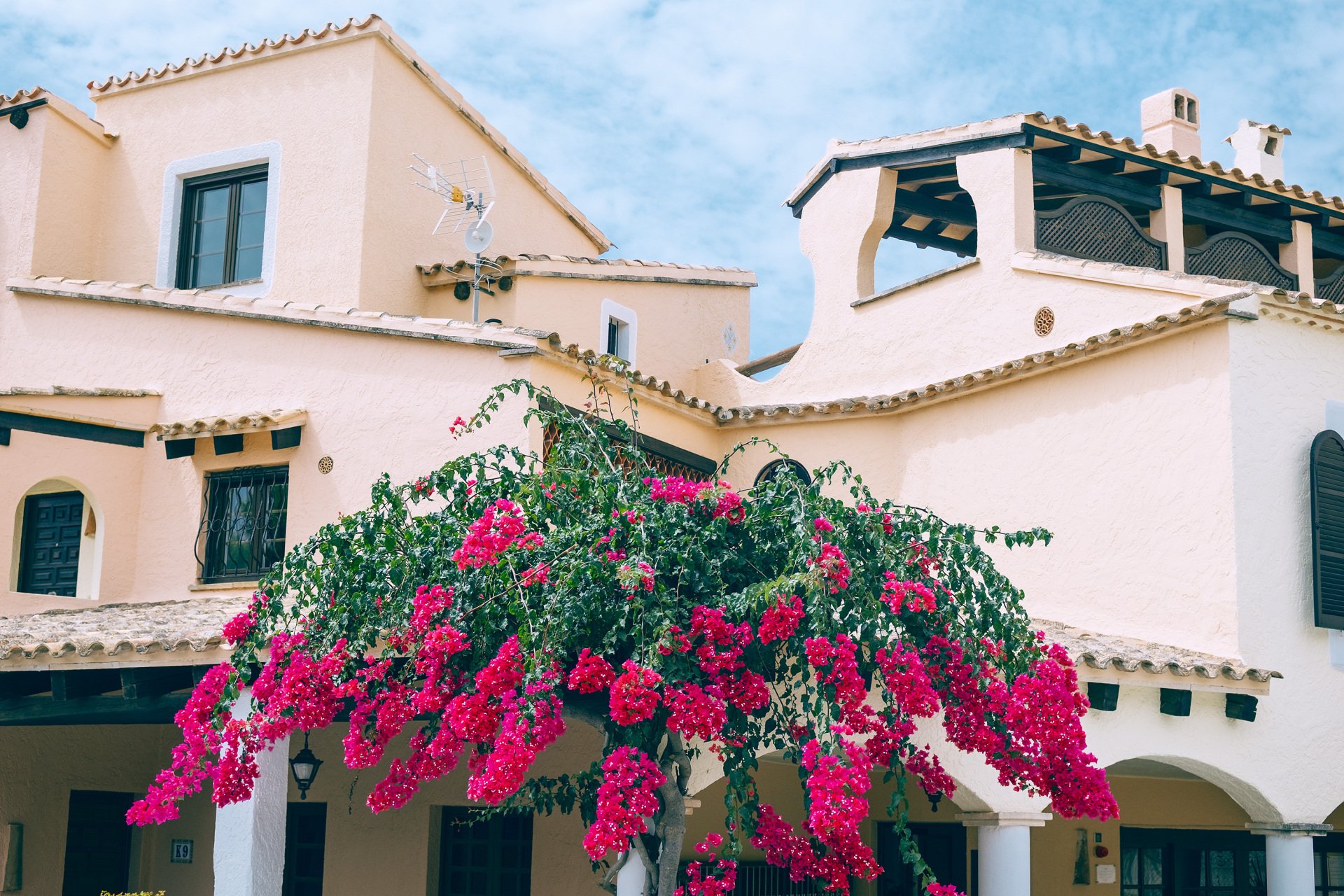 Edificio de paredes claras con tejados de teja, porches con arcos y una planta de abundantes flores rosas en primer plano.